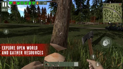 The Survivor: Rusty Forest screenshot №3